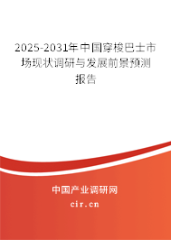 2025-2031年中國穿梭巴士市場現狀調研與發展前景預測報告