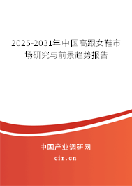 2025-2031年中國高跟女鞋市場研究與前景趨勢報告