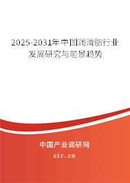 2025-2031年中國潤滑脂行業發展研究與前景趨勢
