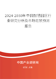 2024-2030年中國智慧園區(qū)行業(yè)研究分析及市場前景預(yù)測報(bào)告