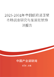 2025-2031年中國低軌道衛星市場調查研究與發展前景預測報告