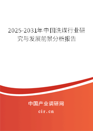 2025-2031年中國洗煤行業研究與發展前景分析報告