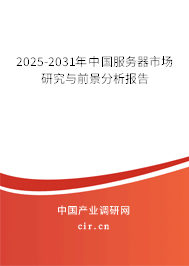 2025-2031年中國服務器市場研究與前景分析報告