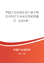 中國污泥處理處置行業市場現狀研究與未來前景趨勢報告（2025年）