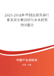2025-2031年中國云服務器行業發展全面調研與未來趨勢預測報告