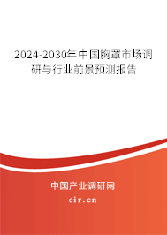2024-2030年中國胸罩市場調研與行業前景預測報告