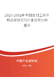 2025-2031年中國支付工具市場調查研究與行業前景分析報告