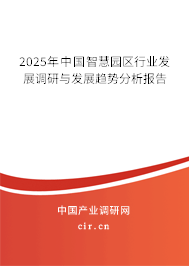 2025年中國智慧園區(qū)行業(yè)發(fā)展調(diào)研與發(fā)展趨勢分析報(bào)告