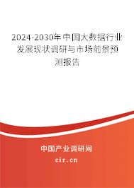 2024-2030年中國大數據行業發展現狀調研與市場前景預測報告