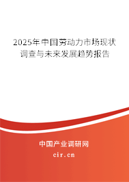 2025年中國勞動力市場現狀調查與未來發展趨勢報告