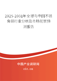 2025-2031年全球與中國不銹角鋼行業(yè)分析及市場前景預(yù)測報告