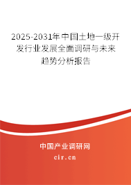 2025-2031年中國土地一級開發行業發展全面調研與未來趨勢分析報告