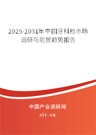 2025-2031年中國牙科槍市場調研與前景趨勢報告