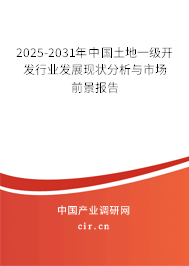 2025-2031年中國土地一級開發行業發展現狀分析與市場前景報告