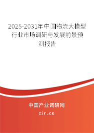 2025-2031年中國物流大模型行業市場調研與發展前景預測報告