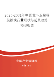 2025-2031年中國北斗衛星導航模塊行業現狀與前景趨勢預測報告