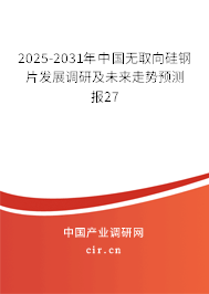 2025-2031年中國無取向硅鋼片發(fā)展調(diào)研及未來走勢預(yù)測報(bào)27