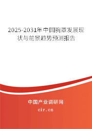 2025-2031年中國胸罩發展現狀與前景趨勢預測報告
