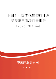中國企業數字化轉型行業發展調研與市場前景報告（2025-2031年）
