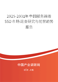 2025-2031年中國服務器級SSD市場調查研究與前景趨勢報告