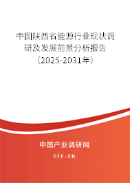 中國陜西省能源行業(yè)現(xiàn)狀調研及發(fā)展前景分析報告（2025-2031年）