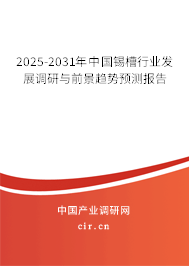 2025-2031年中國錫槽行業發展調研與前景趨勢預測報告