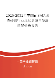 2025-2031年中國mSATA固態硬盤行業現狀調研與發展前景分析報告