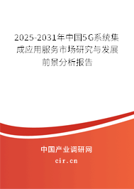 2025-2031年中國5G系統集成應用服務市場研究與發展前景分析報告