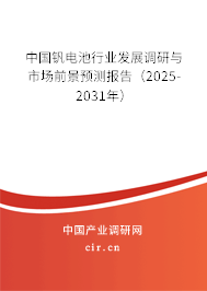 中國釩電池行業發展調研與市場前景預測報告（2025-2031年）