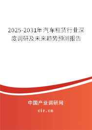 2025-2031年汽車租賃行業深度調研及未來趨勢預測報告